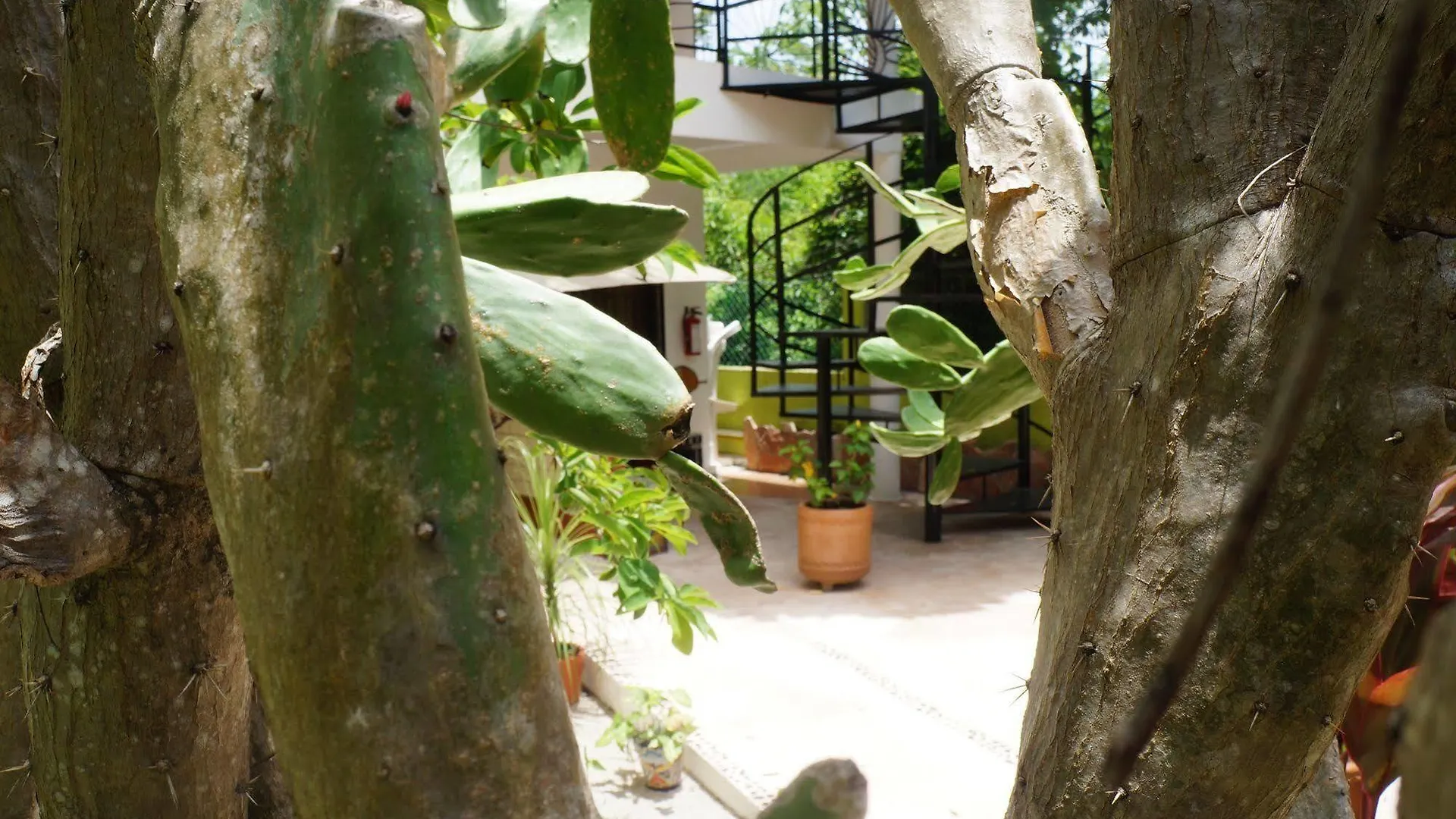 Villa Zenaliza Tulum Bed & Breakfast
